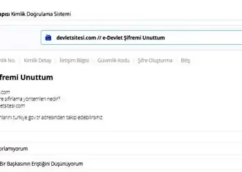 e-Devlet Şifremi Unuttum Nasıl Alabilirim
