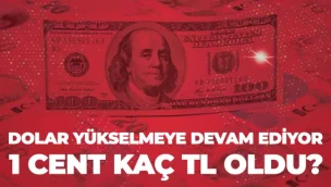 1-cent-kac-tl-oldu 1 cent kaç tl